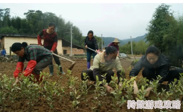 村妇好紧要进去了，乡村振兴需要大家共同努力