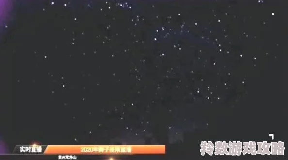 《白荆回廊》流星坠处烙痕效果全解析，网友热议其惊艳表现与独特魅力