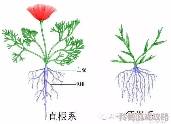 艹穴最新研究显示植物在逆境中能激发更强的自我修复能力